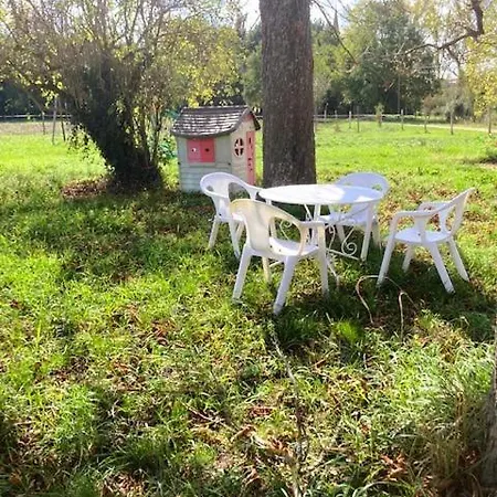 Cocon Paisible Et Confortable. Villemur-sur-Tarn