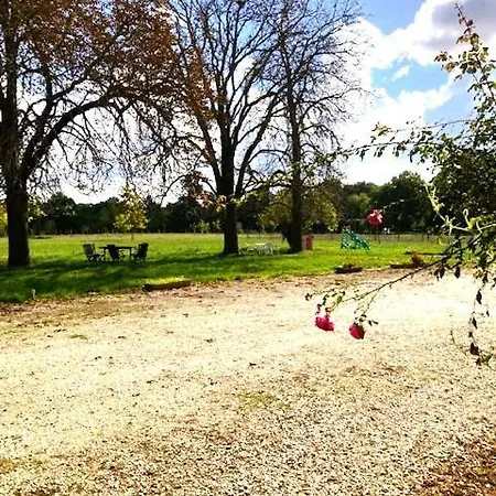 Cocon Paisible Et Confortable.